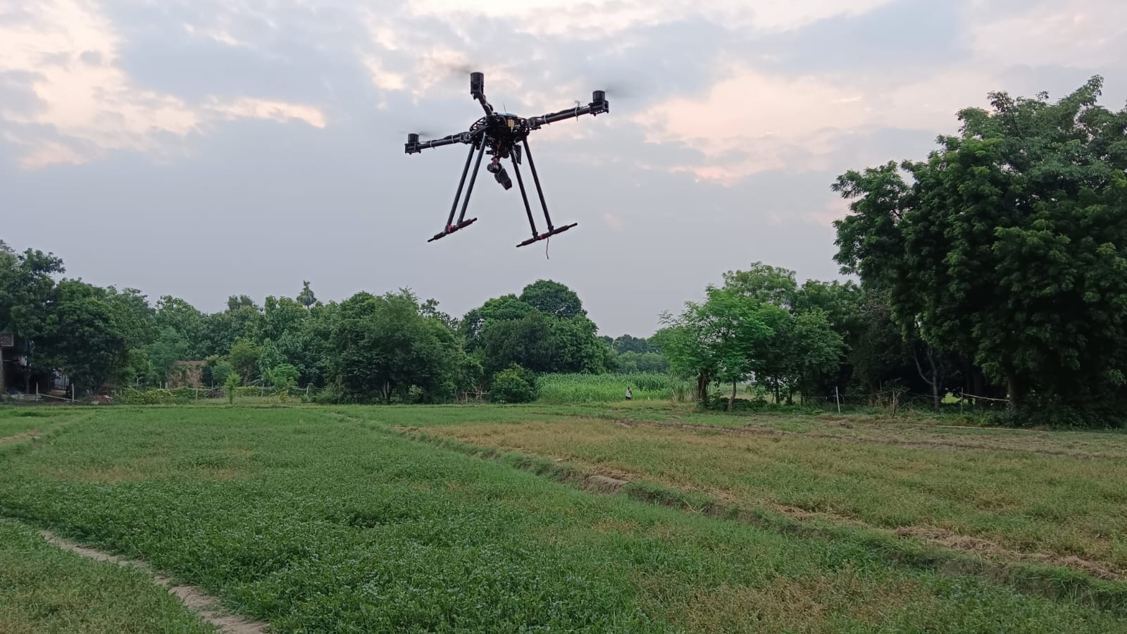 Drone Image 15